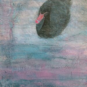 Black Swan, WA. (40.5 x 61 cm)