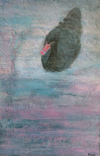 Black Swan, WA. (40.5 x 61 cm)