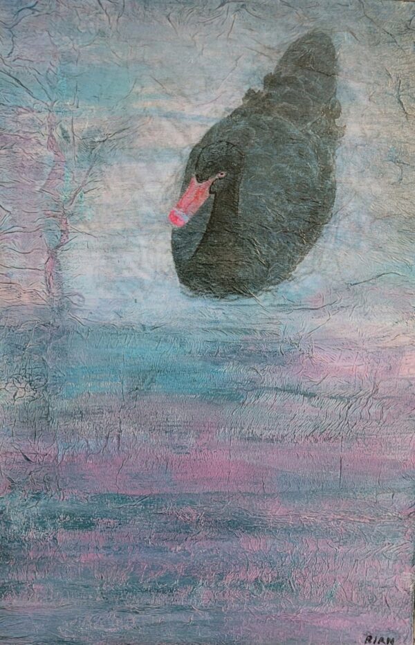 Black Swan, WA. (40.5 x 61 cm)