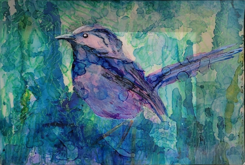 Blue Wren (62 x 44.5 cm)