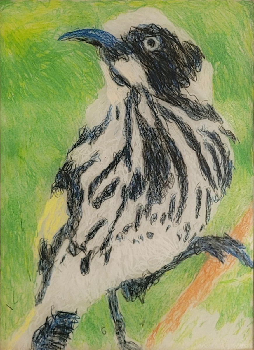 New Holland Honey Eater (32 x 45 cm)